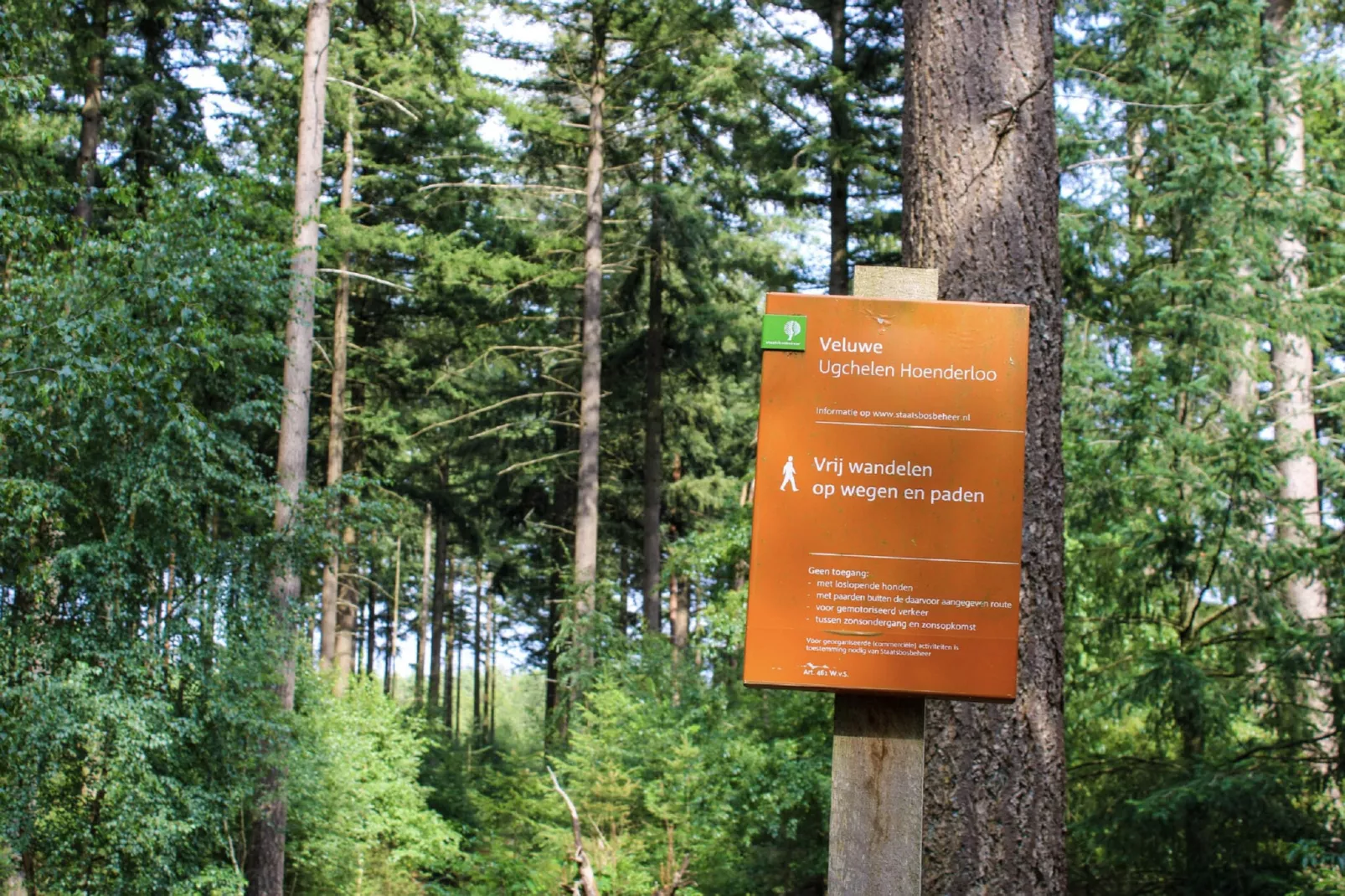 Vakantiepark De Rimboe & De Woeste Hoogte 2-Gebieden zomer 1km