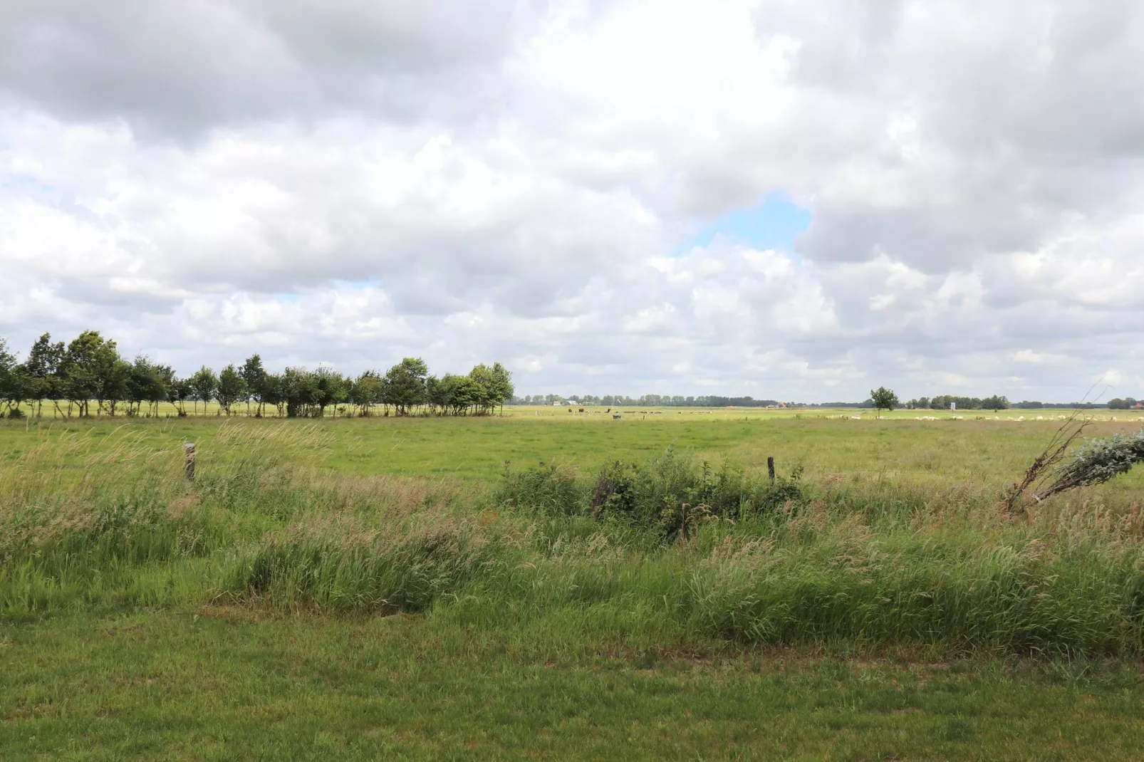 De Markestee chalet 1-Uitzicht zomer