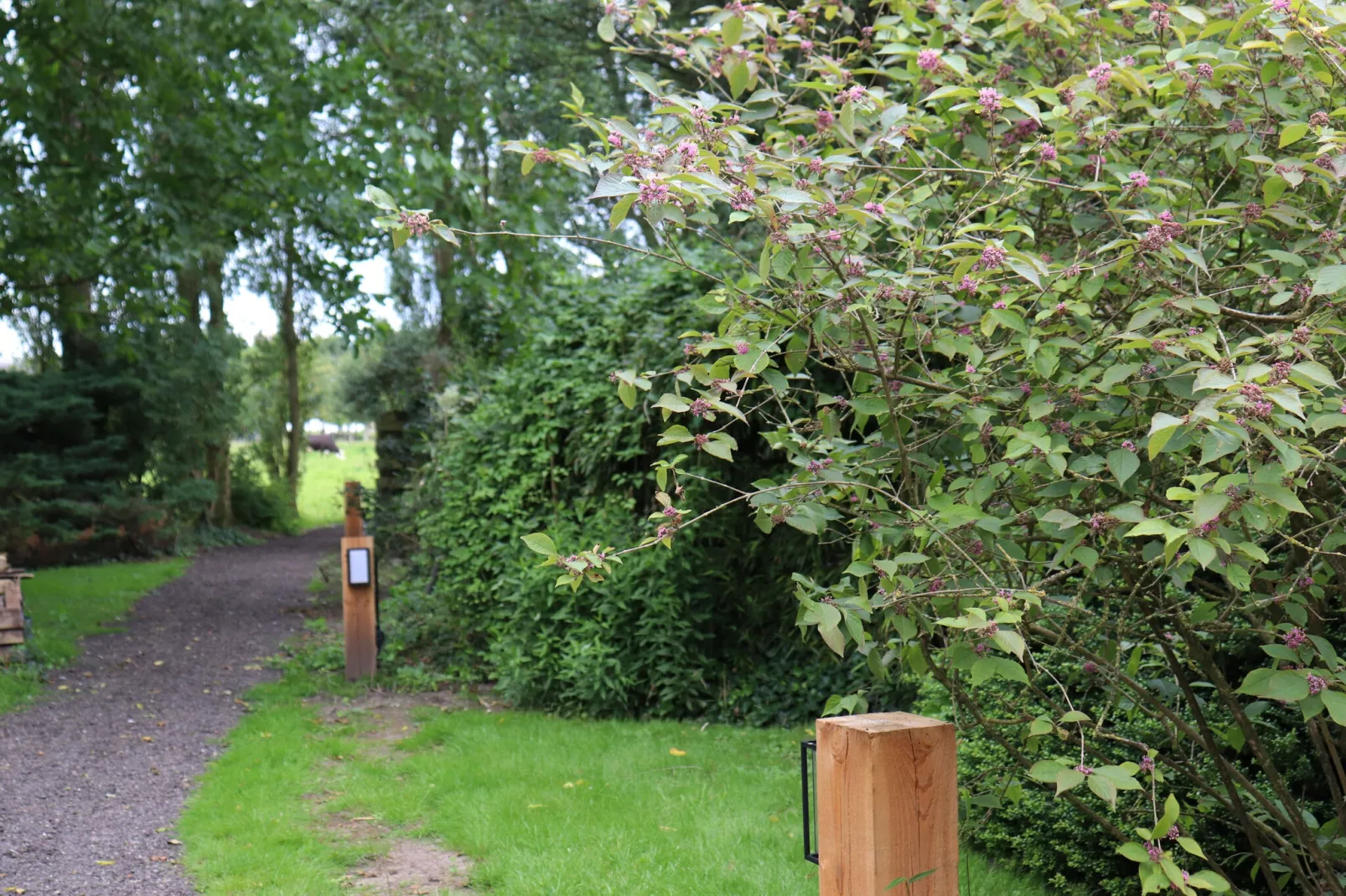 De Markestee chalet 1-Gebieden zomer 1km