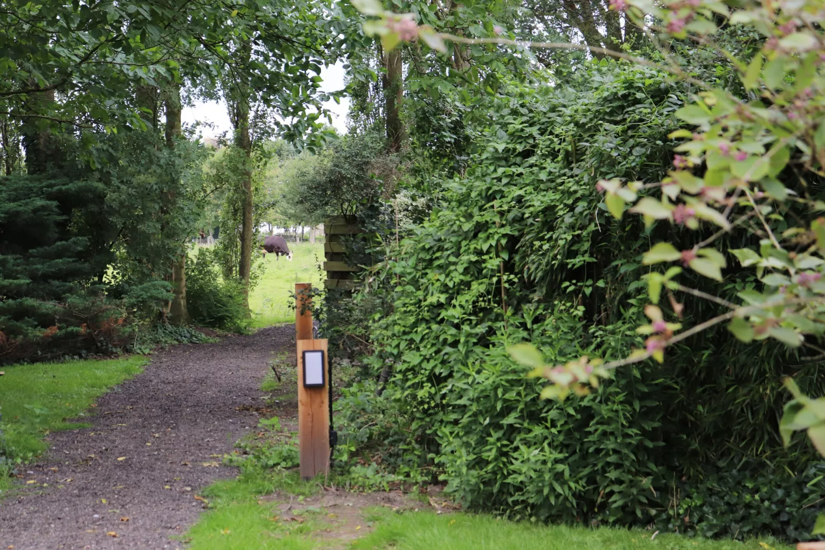 De Markestee chalet 3-Gebieden zomer 1km