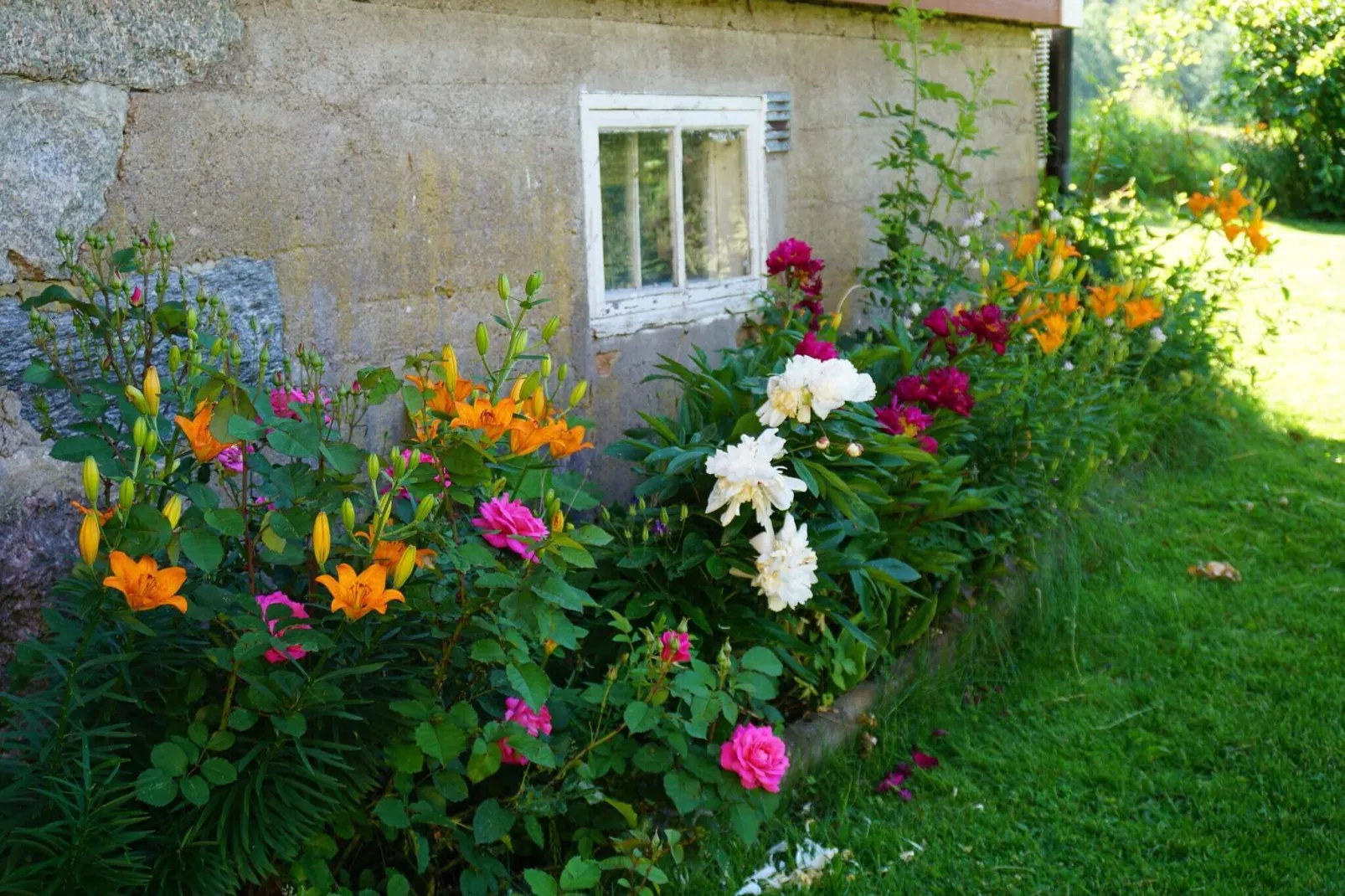 5 persoons vakantie huis in Hedekas-Buitenlucht