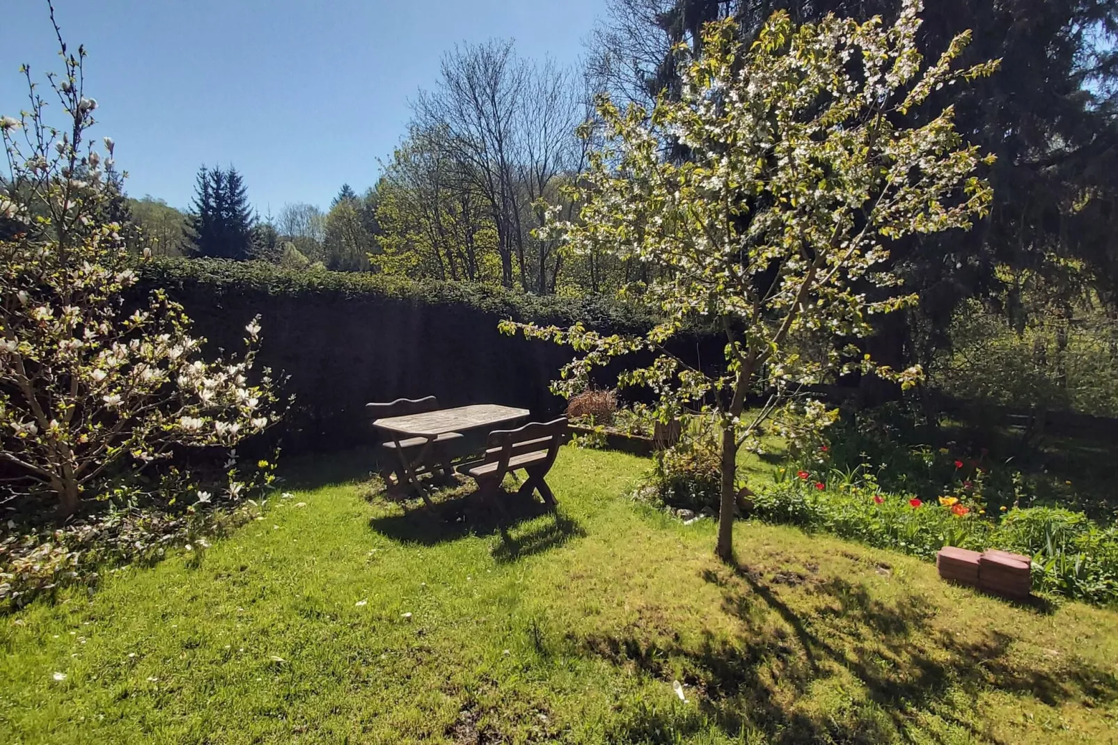 Ferienwohnung Thale-Tuinen zomer