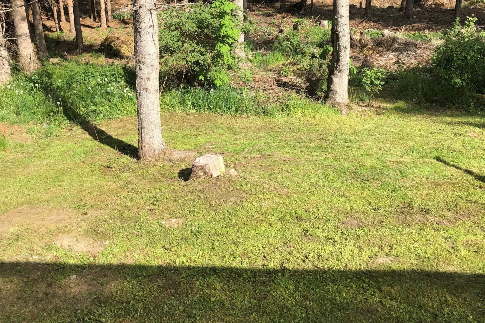 Harz-Uitzicht zomer