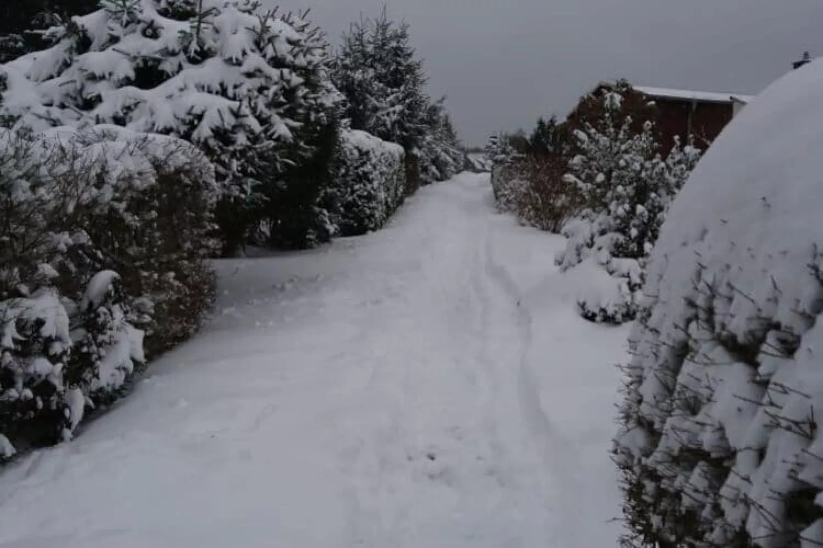 Harz-Uitzicht winter