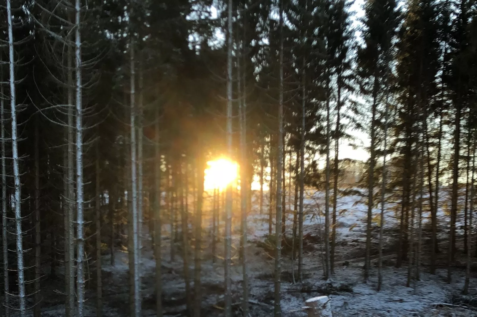 Harz-Uitzicht winter