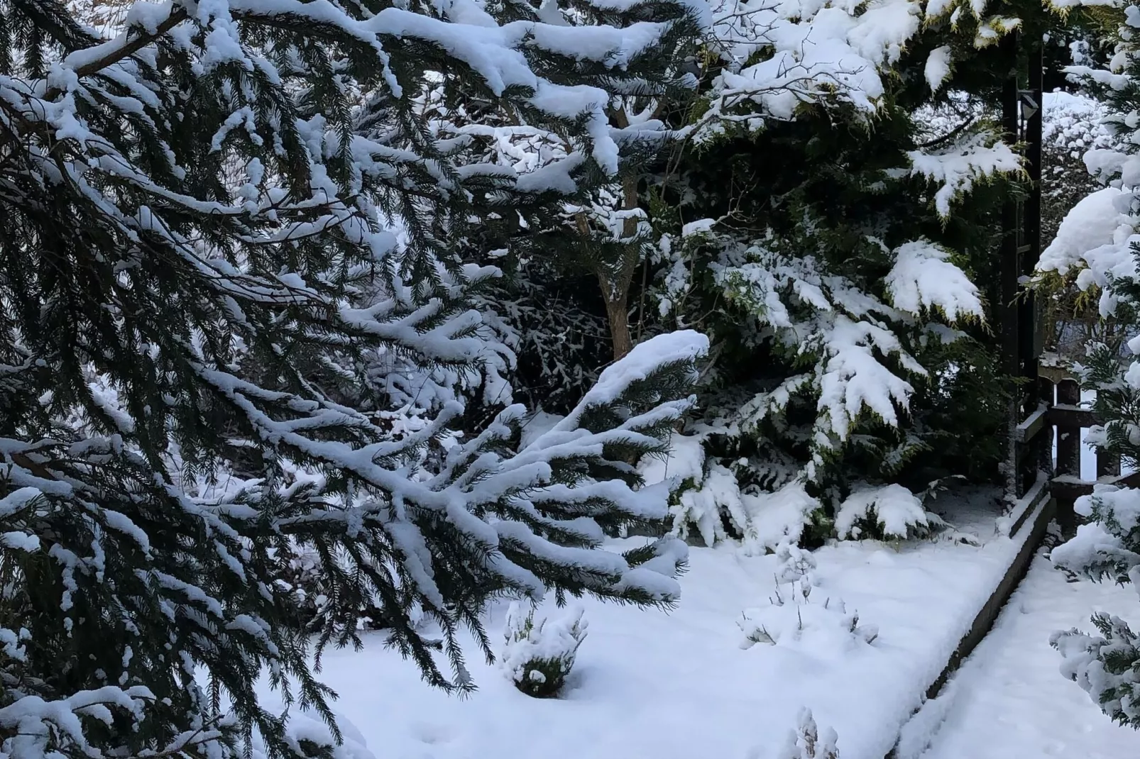 Harz-Uitzicht winter