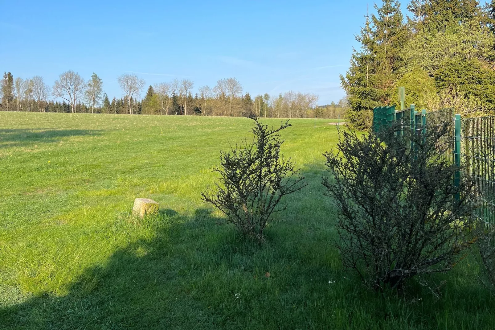 Harz-Gebieden zomer 1km