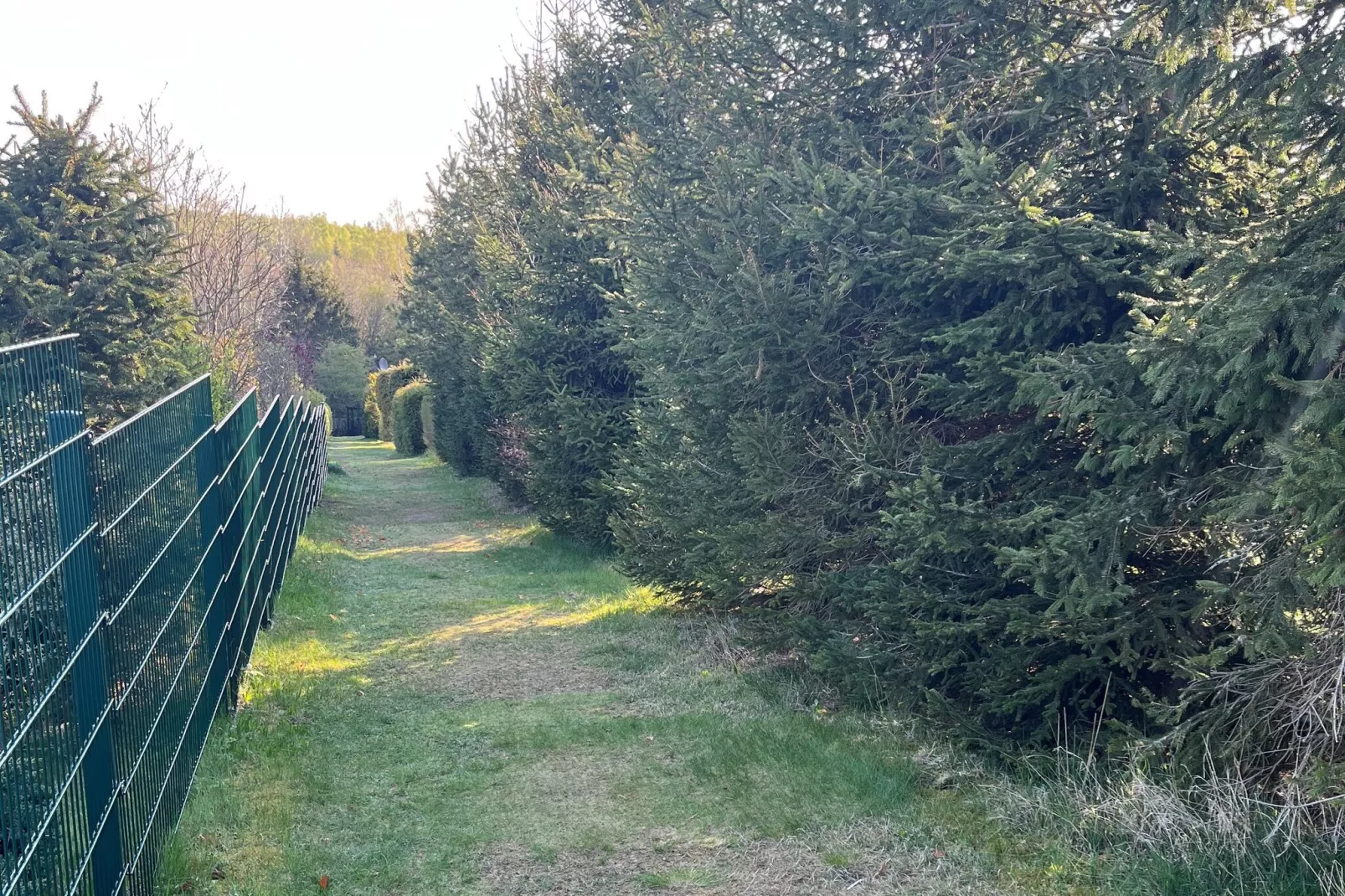 Harz-Gebieden zomer 1km