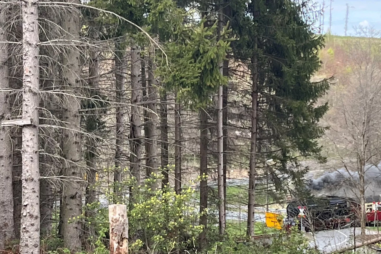 Harz-Gebieden zomer 1km