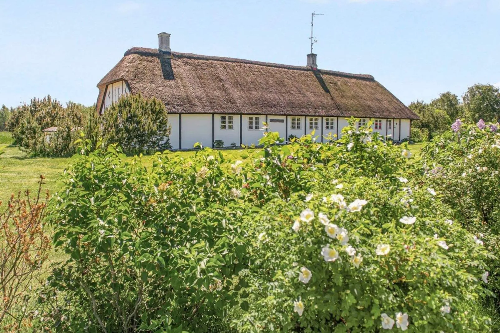 4 persoons vakantie huis in Læsø-Buitenlucht