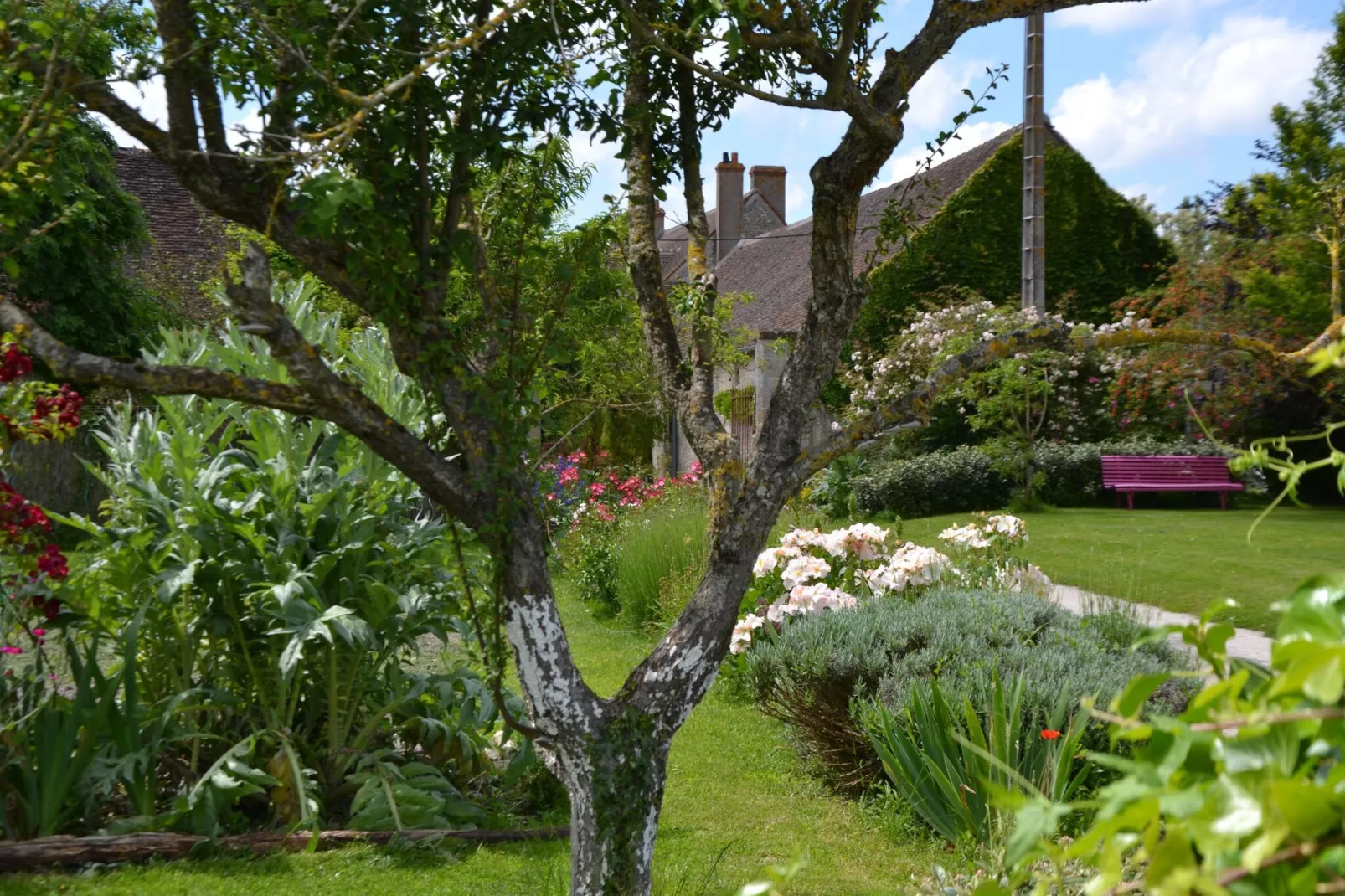 Maison de vacances - CHILLEURS-AUX-BOIS-Tuinen zomer