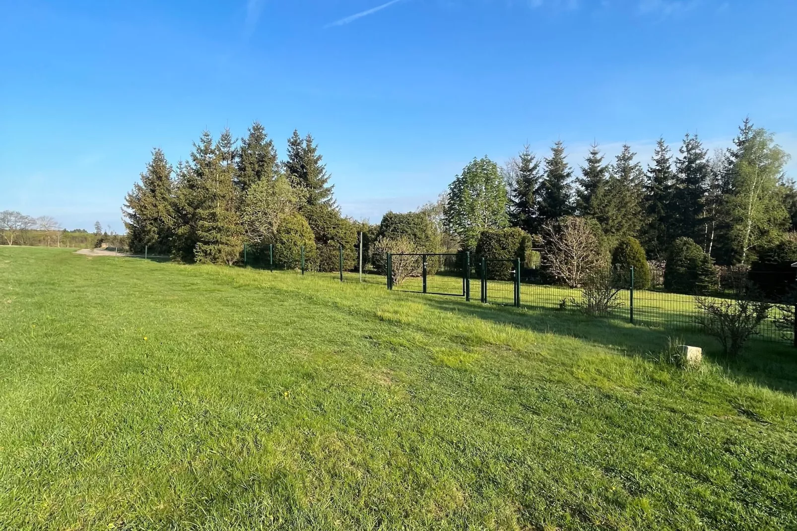 Harz-Gebieden zomer 1km