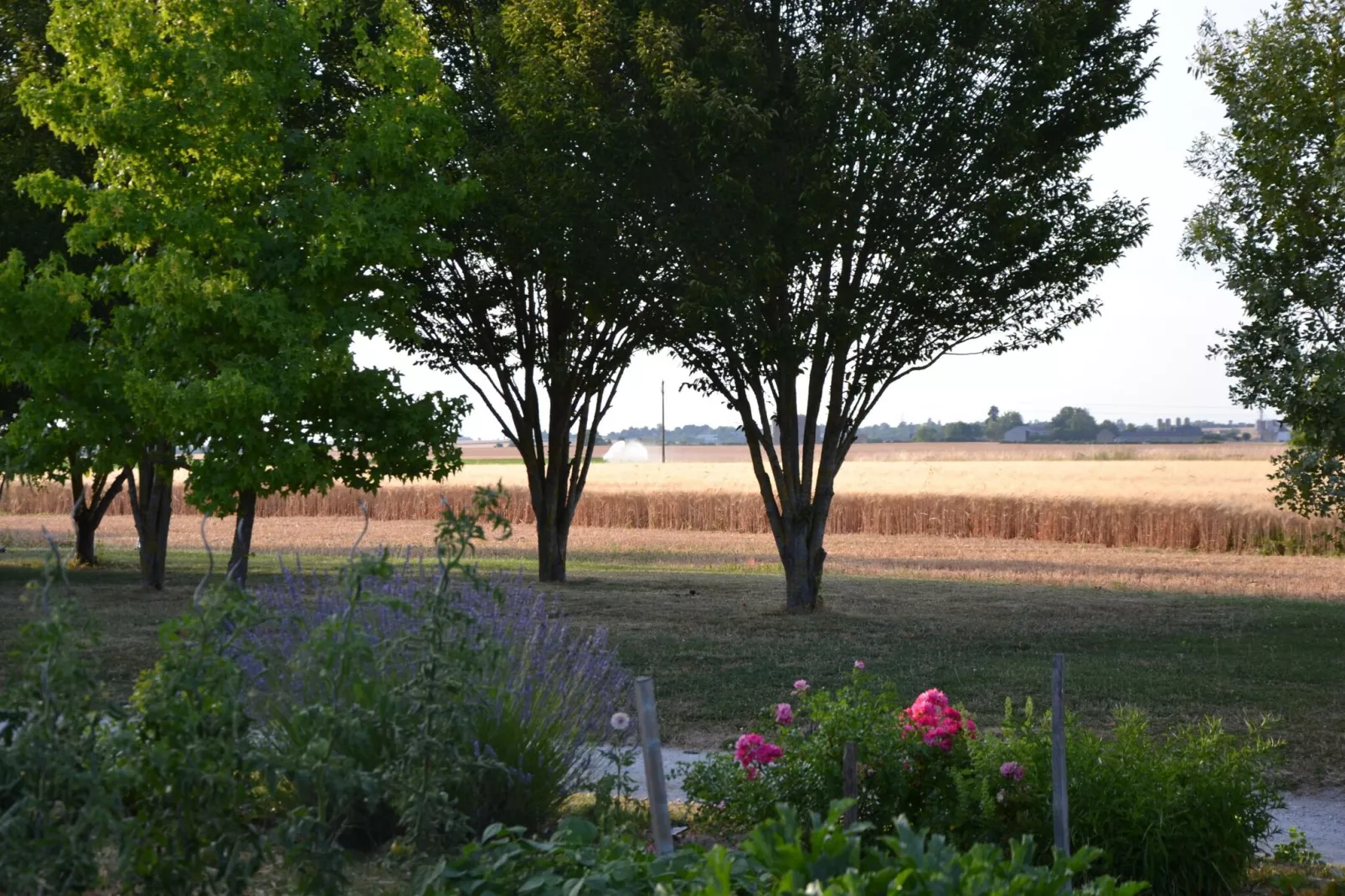 Maison de vacances - CHILLEURS-AUX-BOIS-Gebieden zomer 1km