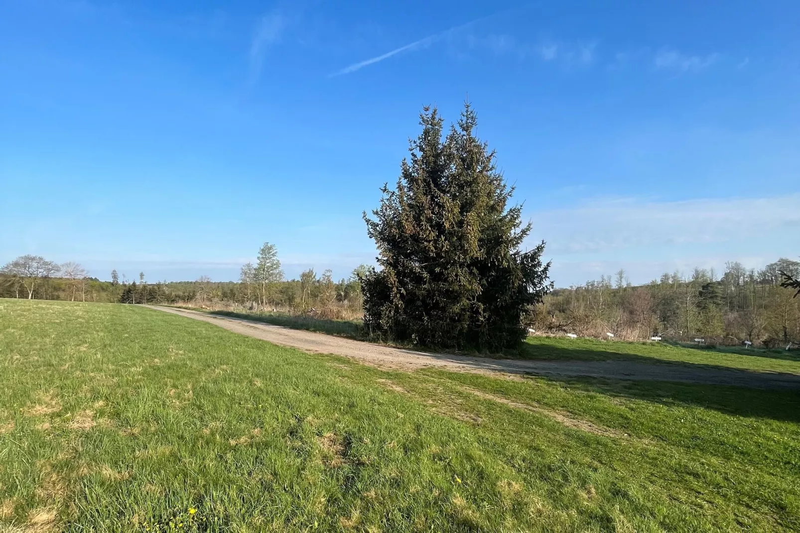 Harz-Gebieden zomer 1km