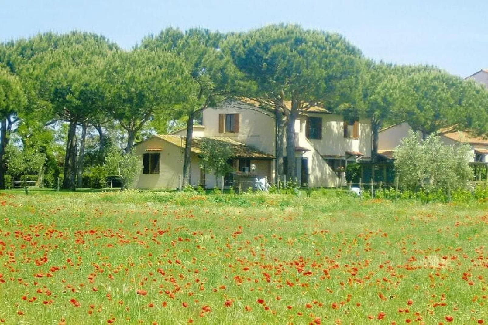 Ferienanlage Azienda Canova Seconda Marina di Grosseto Einzelhaus EG Gartenanteil Veranda-Buitenkant zomer