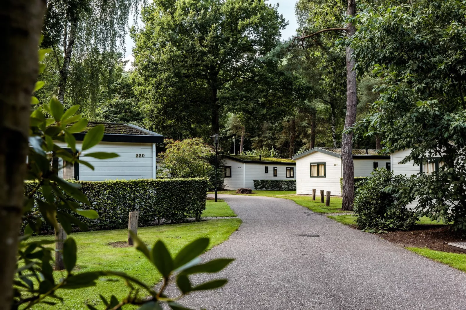 Bospark de Schaapskooi 8-Parkfaciliteiten