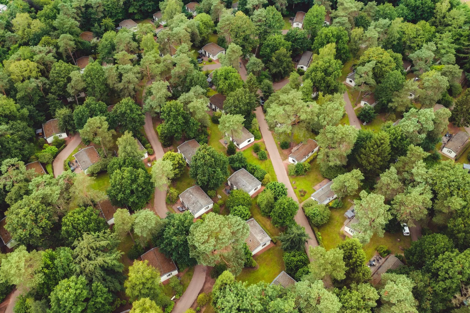 Bospark de Schaapskooi 8-Parkfaciliteiten