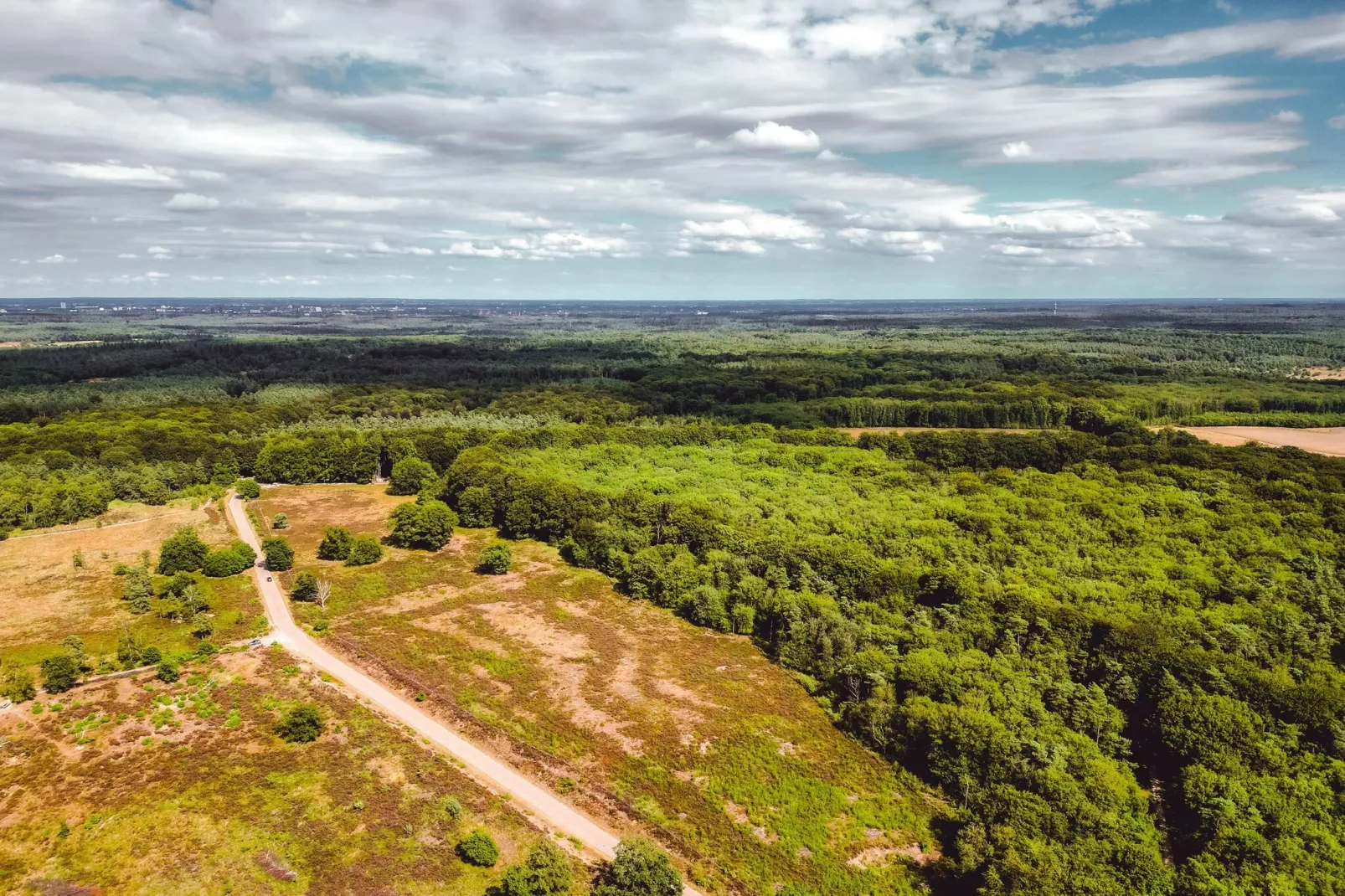 Bospark de Schaapskooi 8-Gebieden zomer 5km