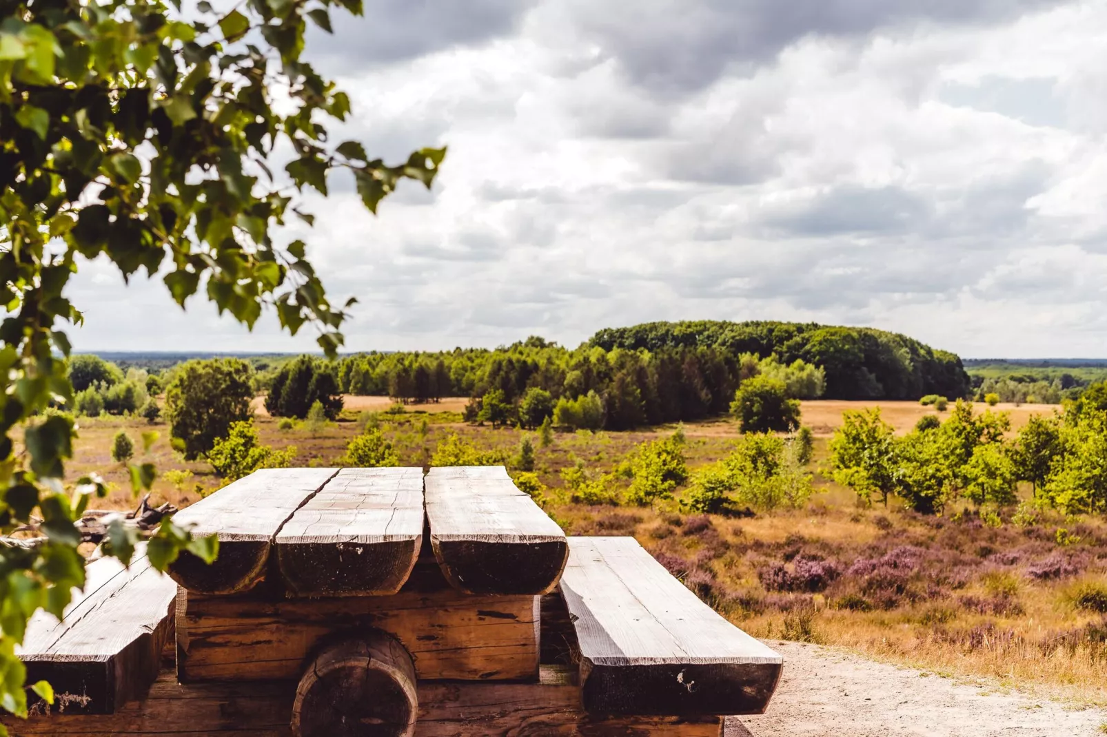 Bospark de Schaapskooi 8-Gebieden zomer 5km