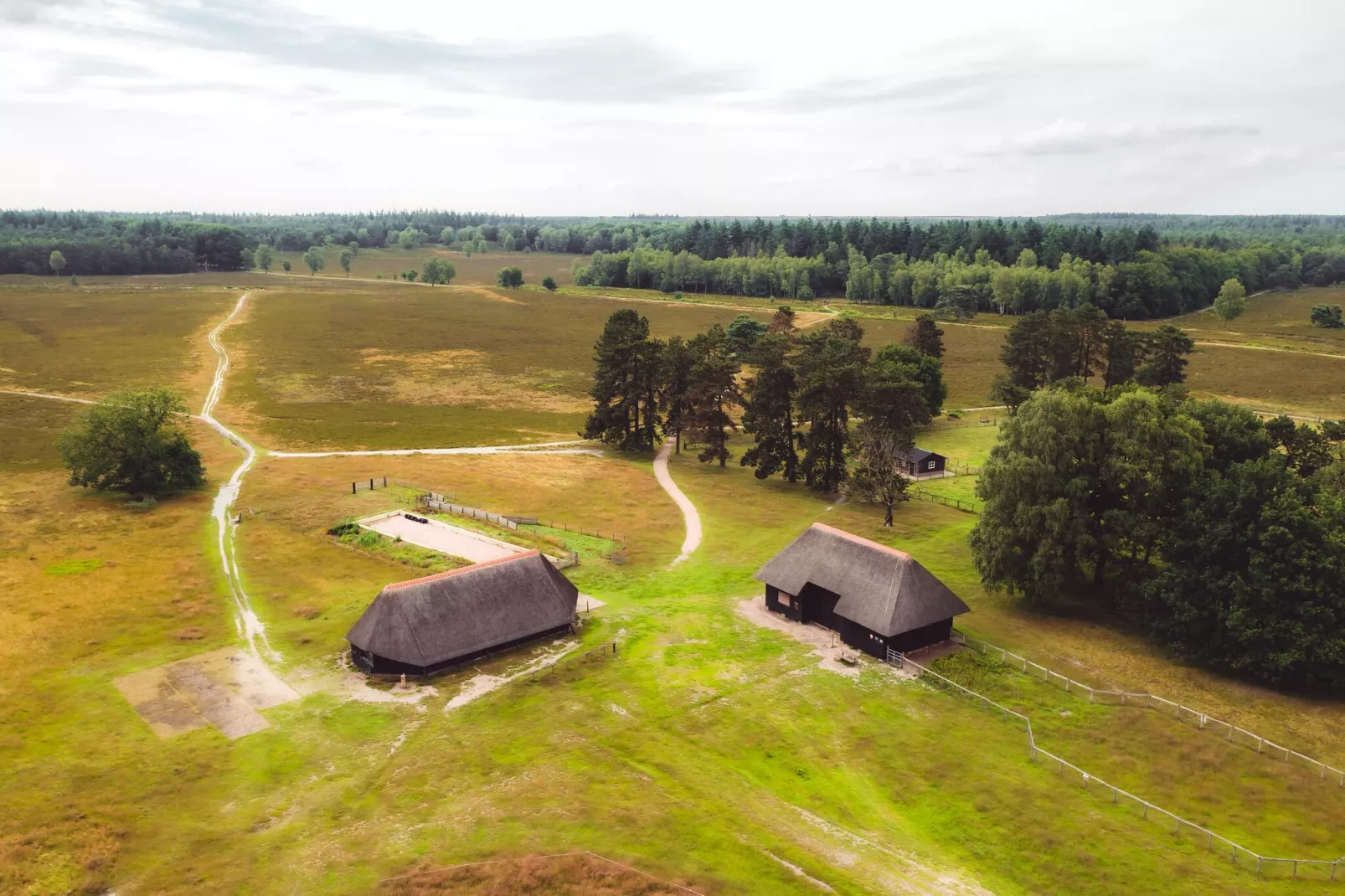 Bospark de Schaapskooi 8-Gebieden zomer 5km