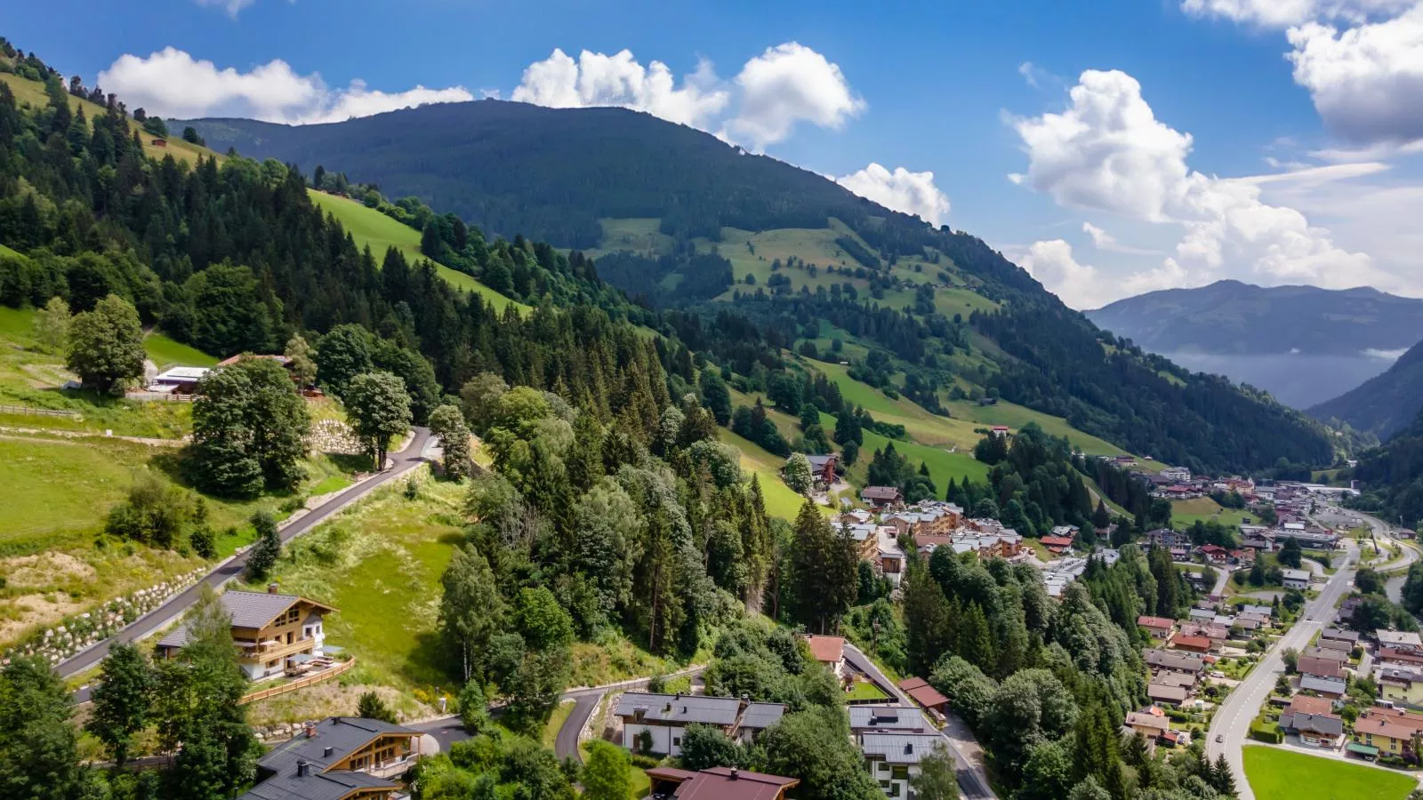 Chalet Huski Viehhofen-Gebieden zomer 1km