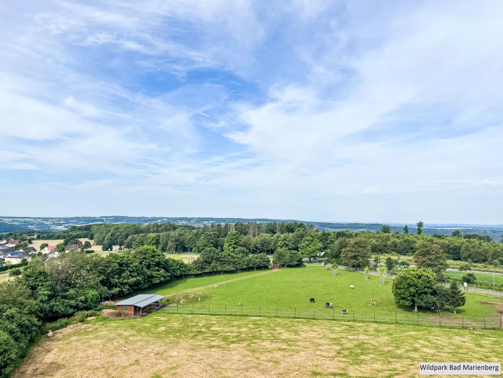 Tiny Haus Westerwald 16 Red-Omgeving