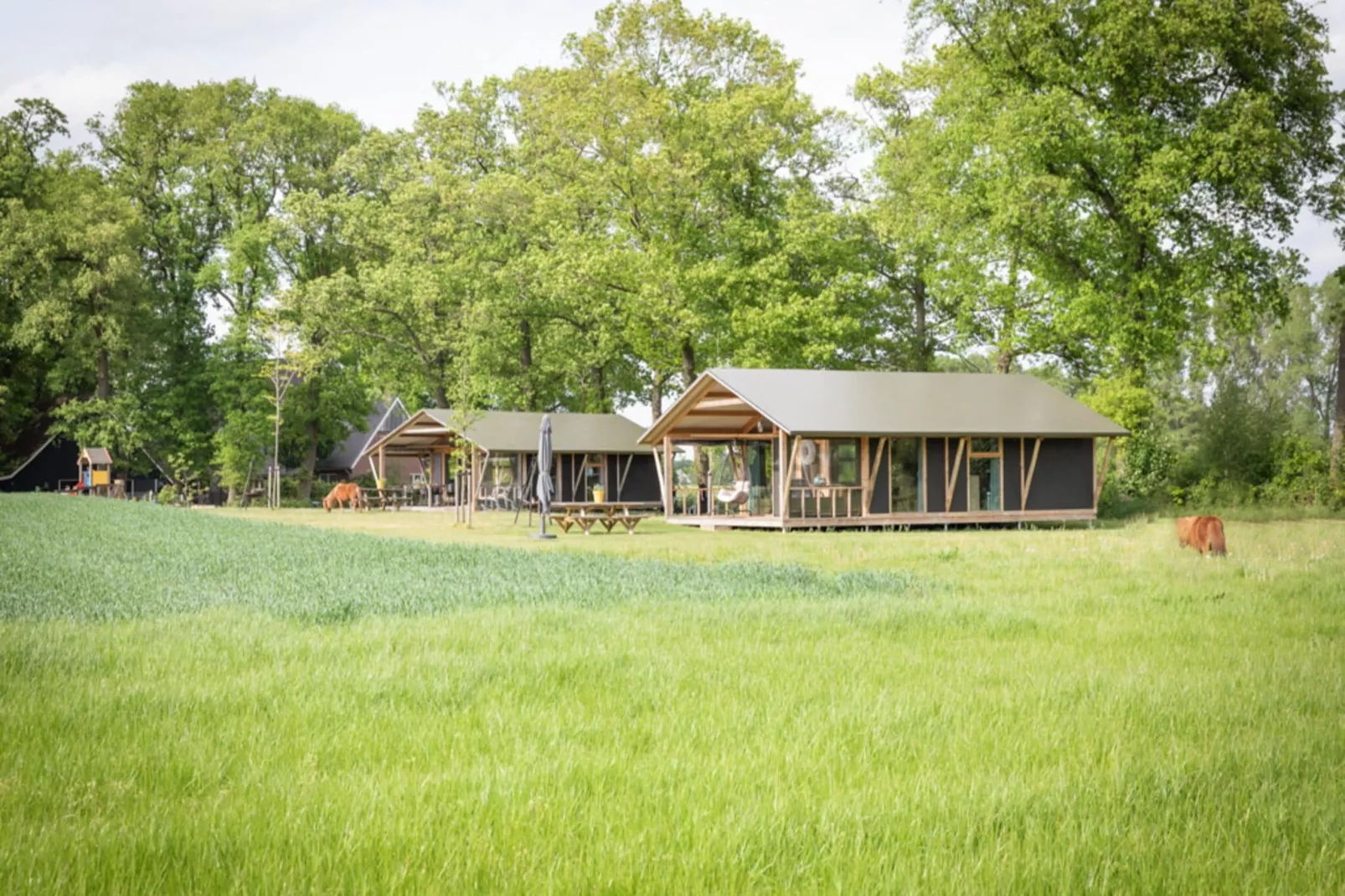 Landrijk de Reesprong 2-Buitenkant zomer