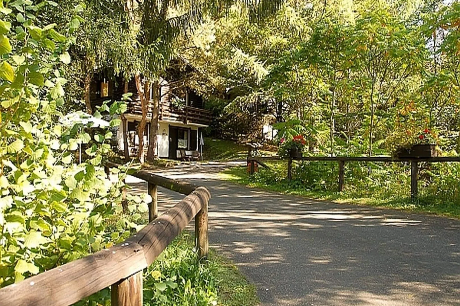 Feriendorf Reinskopf 5-Gebieden zomer 1km