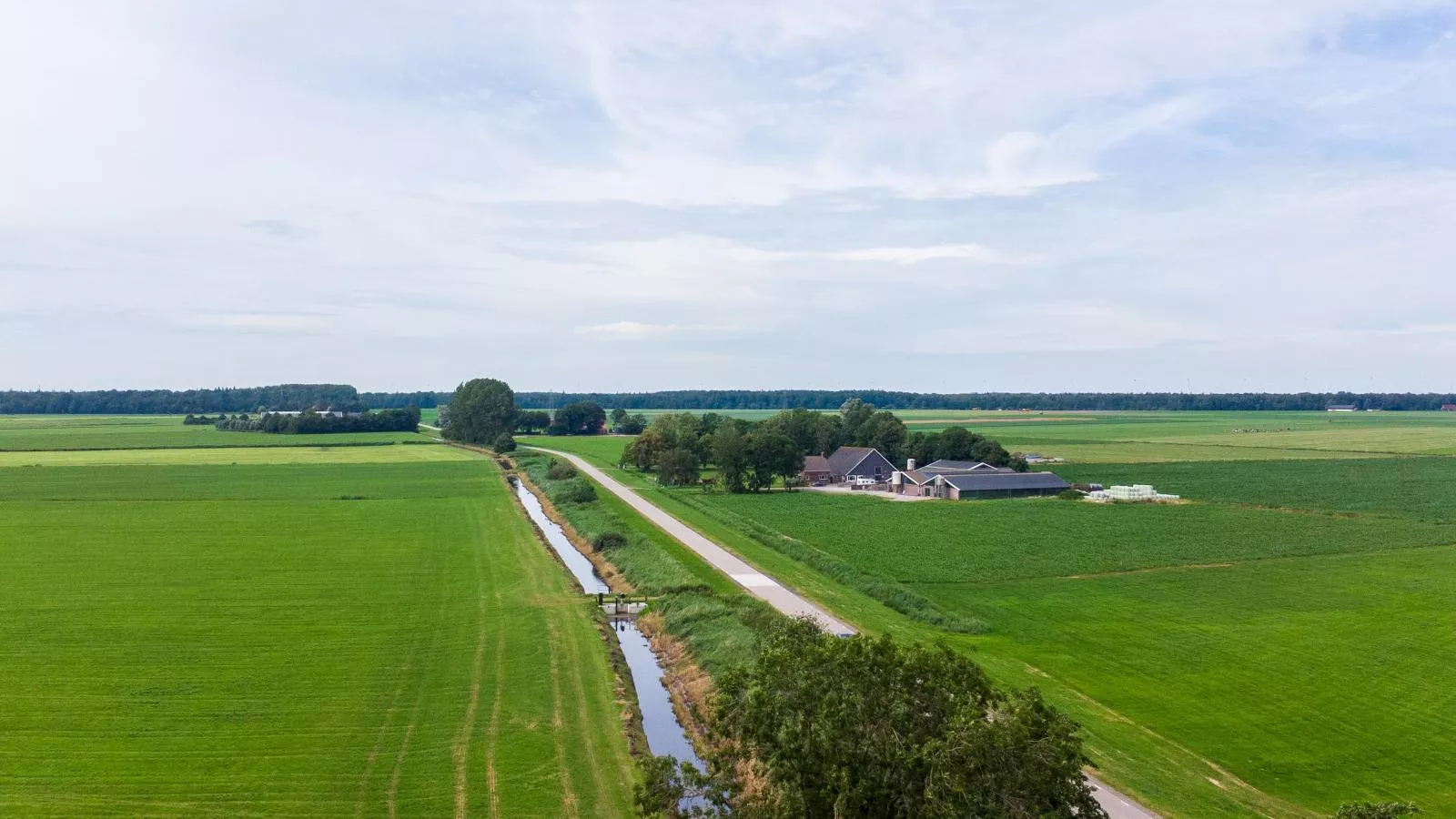 Sluisje 55-Gebieden zomer 1km