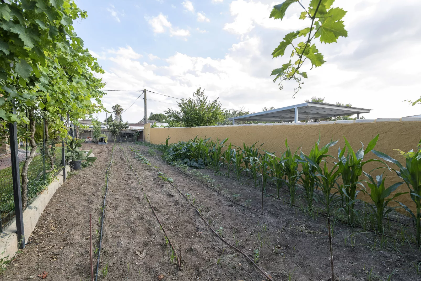 Rincon De La Huerta-Buitenkant zomer