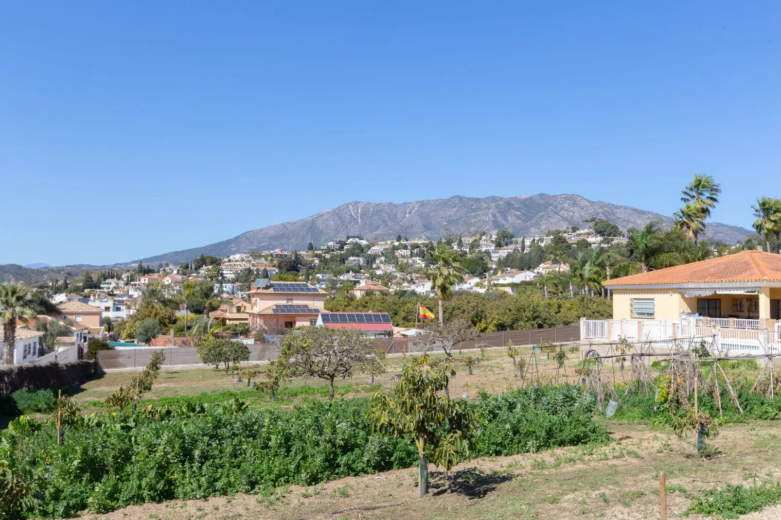 Finca El Altabacar-Buitenkant zomer