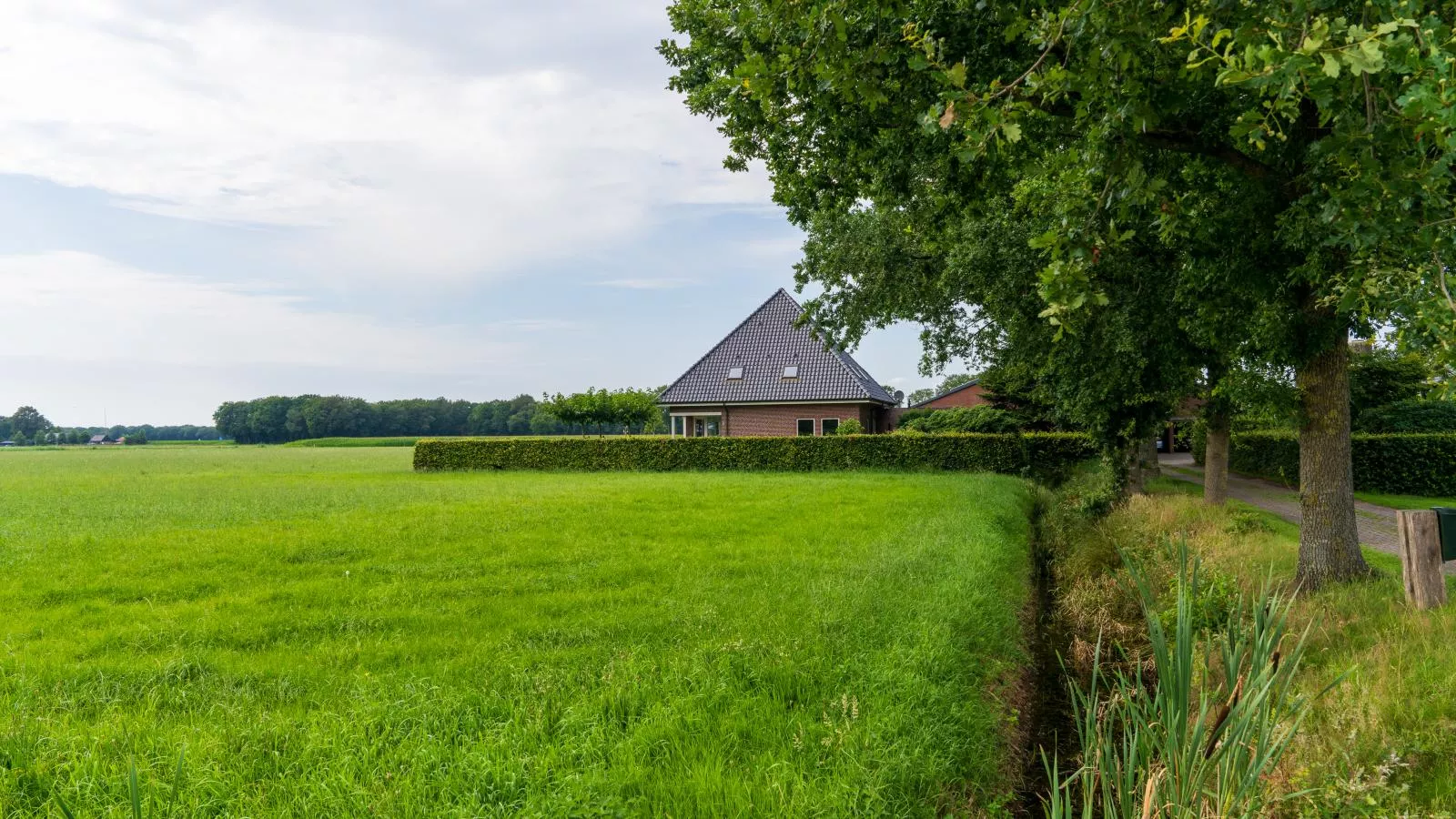 De Kolonie-Buitenkant zomer