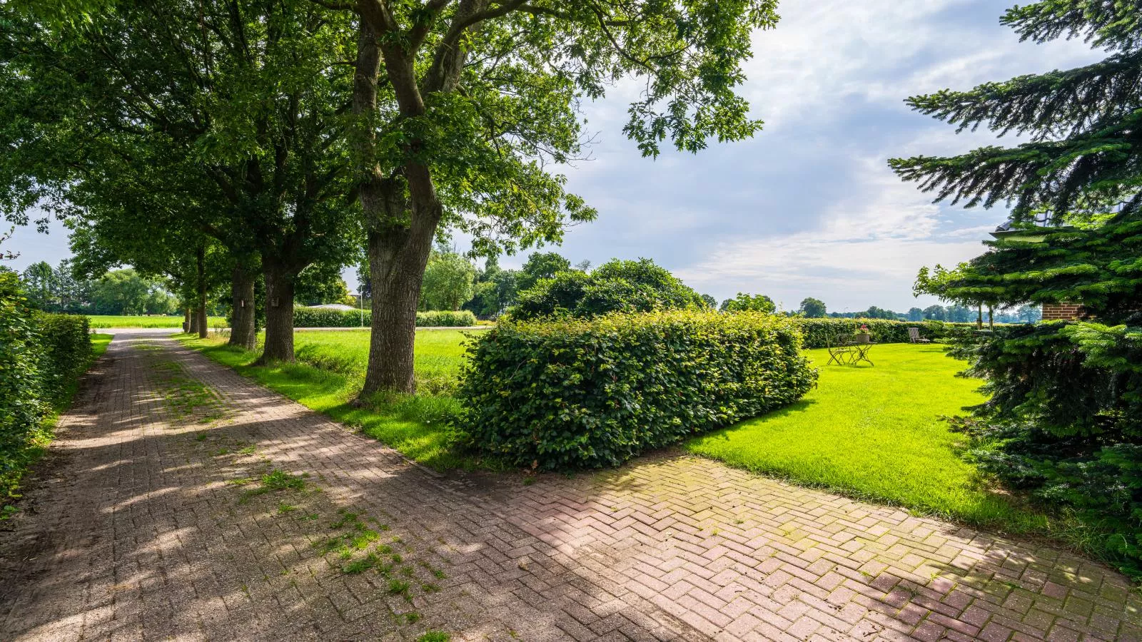 De Kolonie-Tuinen zomer