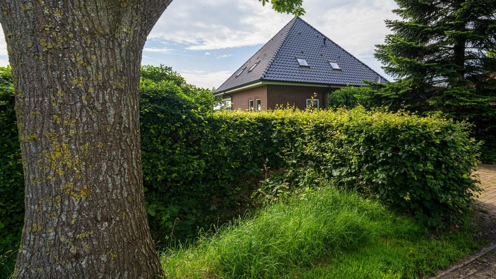 De Kolonie-Buitenkant zomer