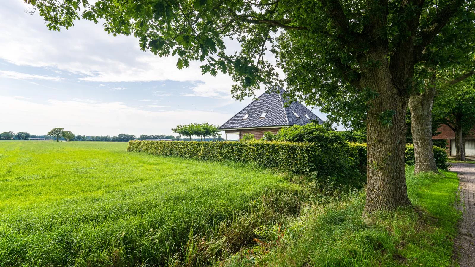 De Kolonie-Buitenkant zomer