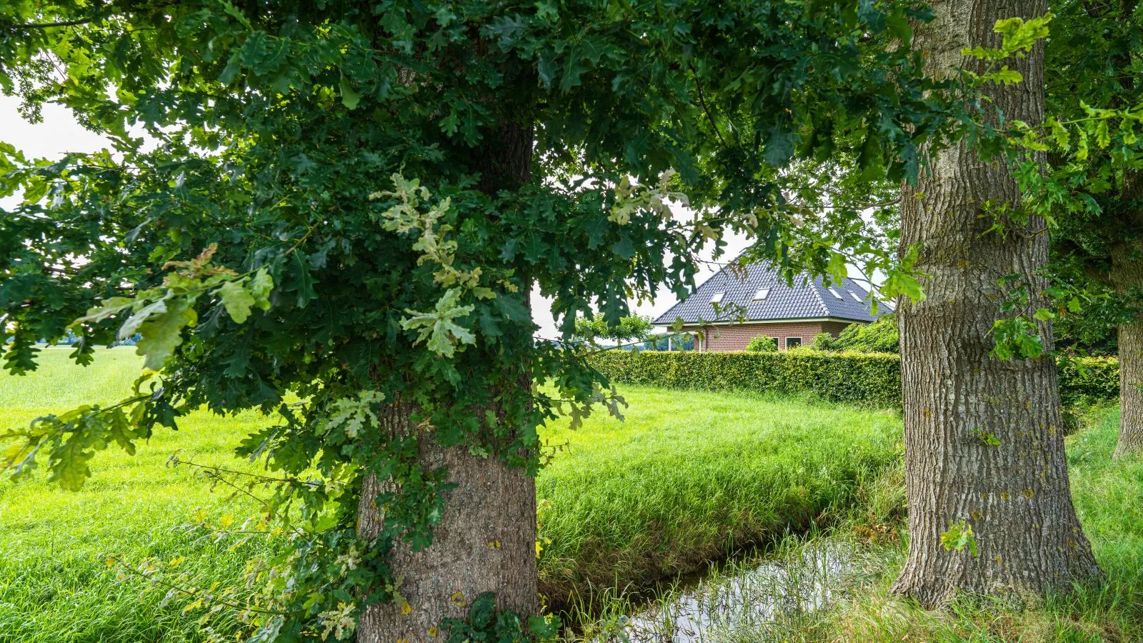 De Kolonie-Buitenkant zomer