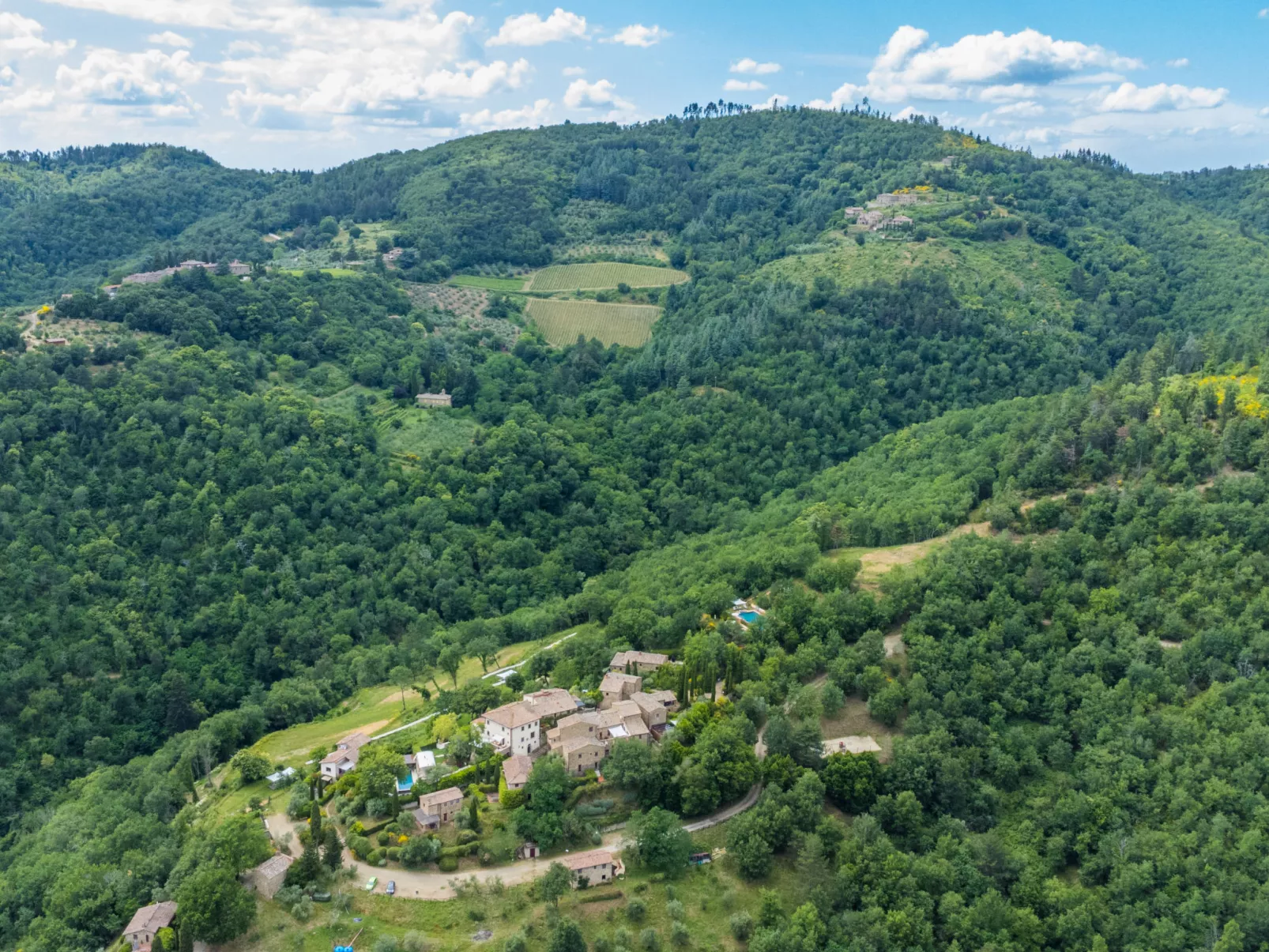 Il Cinghiale-Buiten