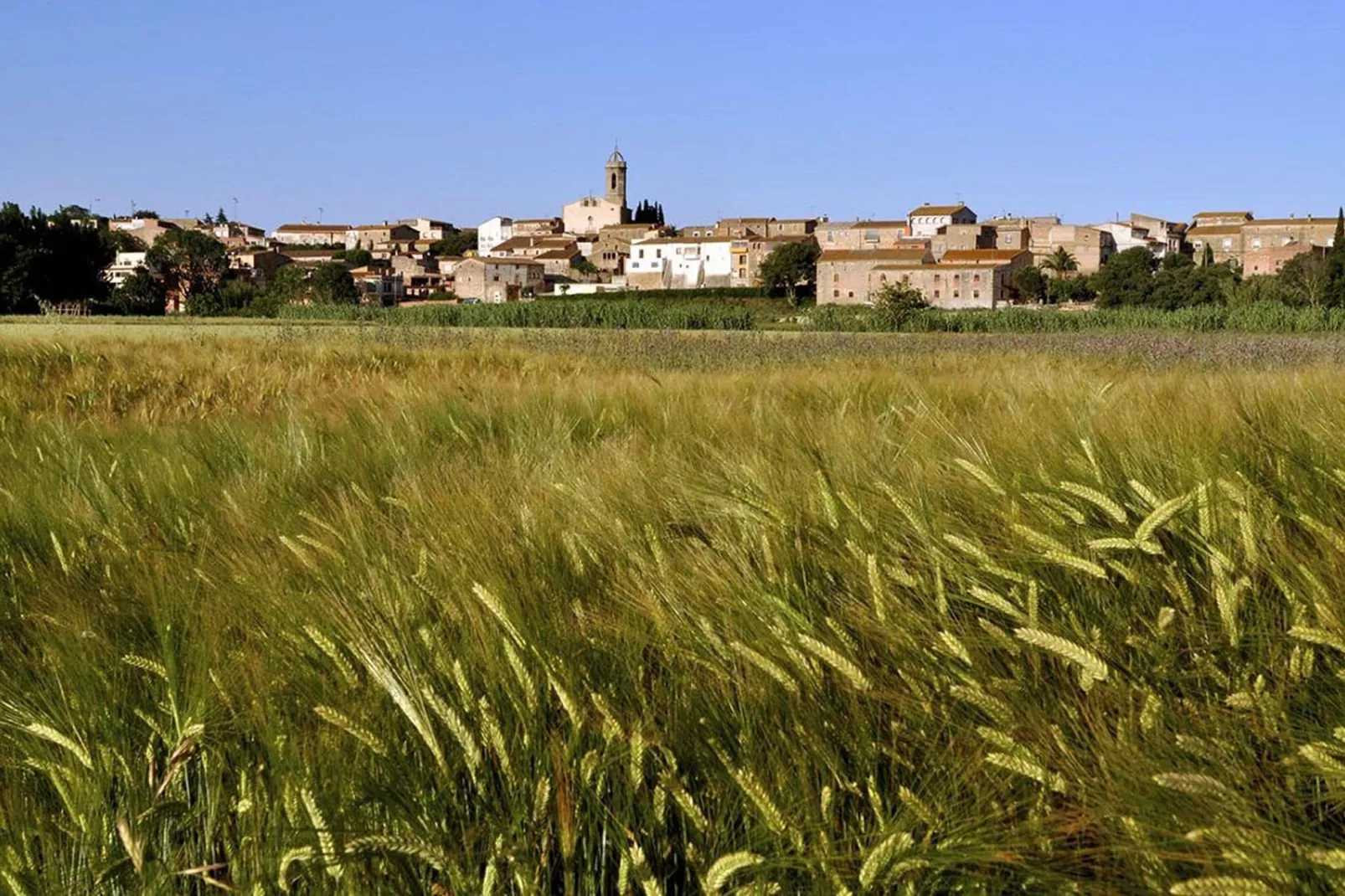 El Pajar Del Empordà-Uitzicht zomer