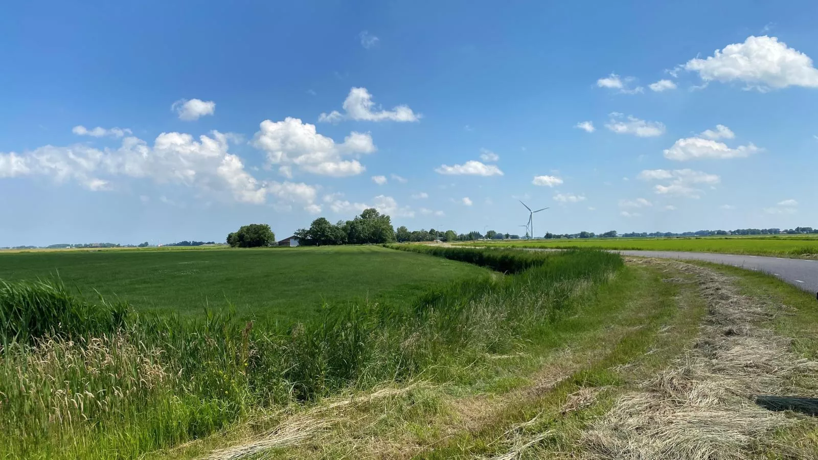 Het Koetshuis-Gebieden zomer 5km