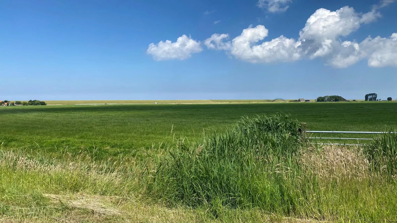 Het Koetshuis-Gebieden zomer 1km