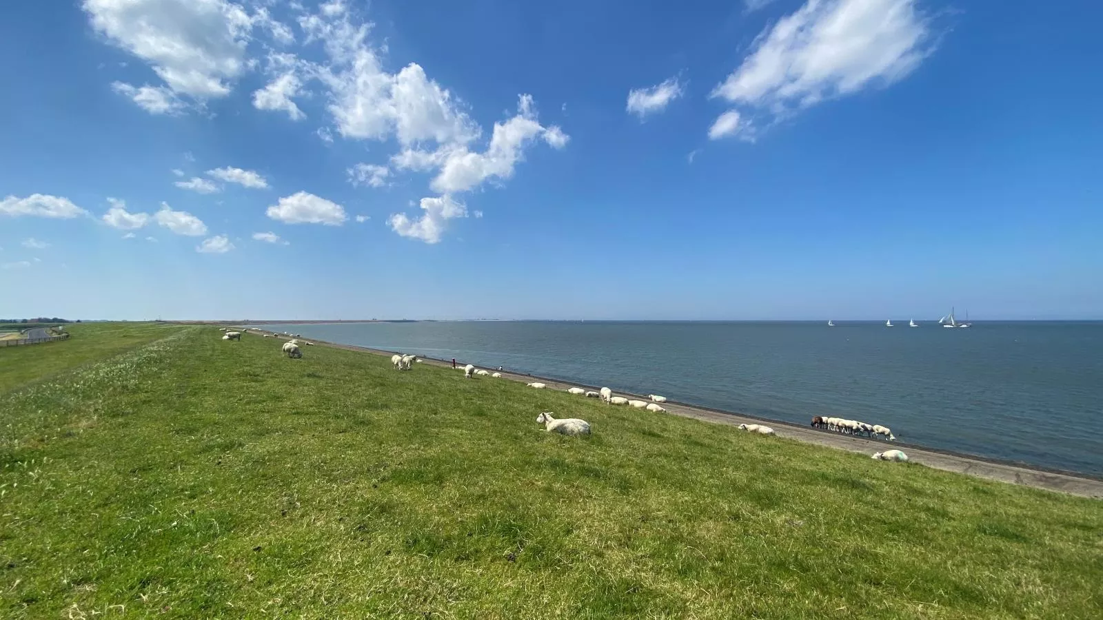 Het Koetshuis-Gebieden zomer 5km