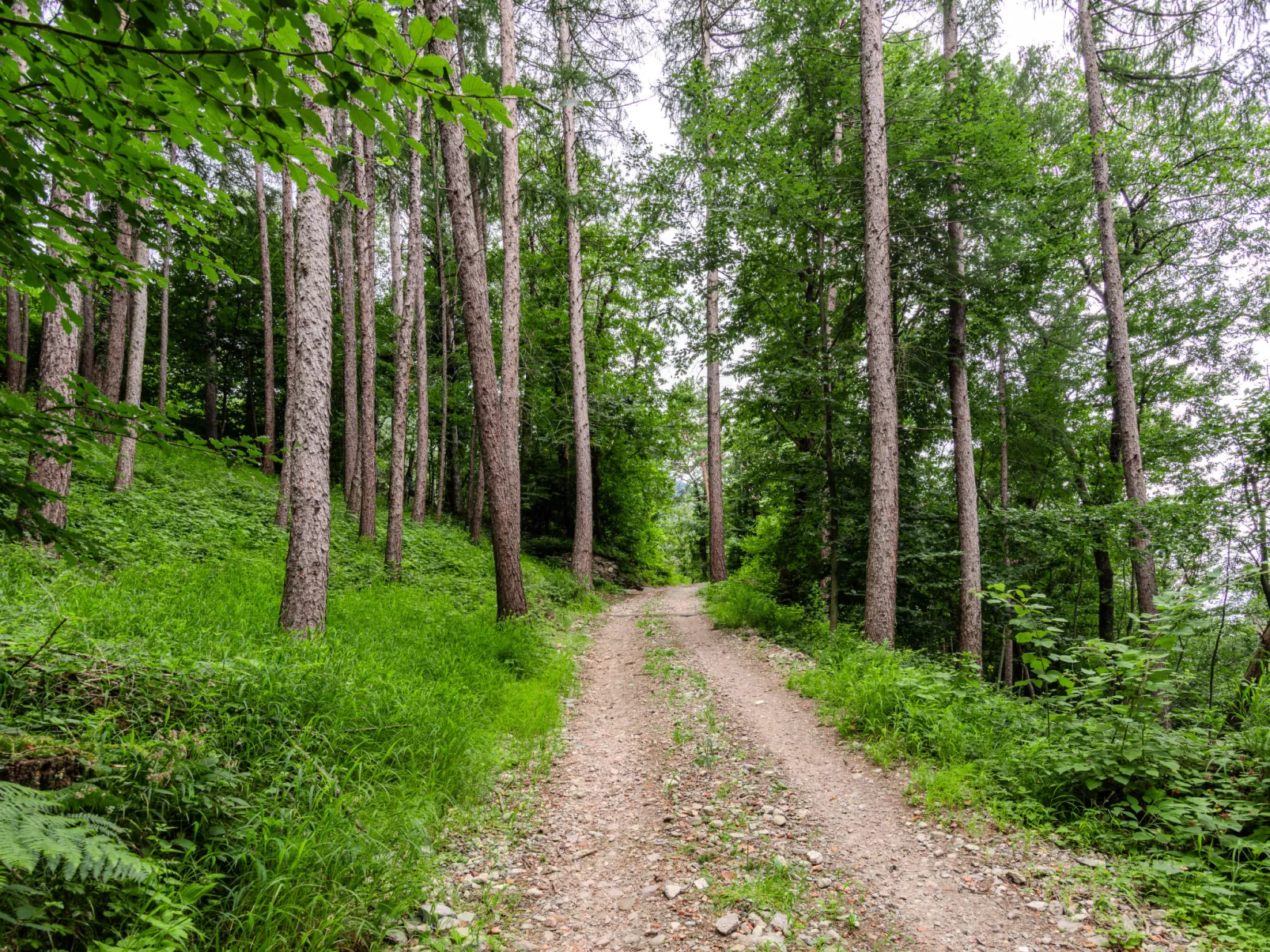 La Quiete Mountain Home-Buiten