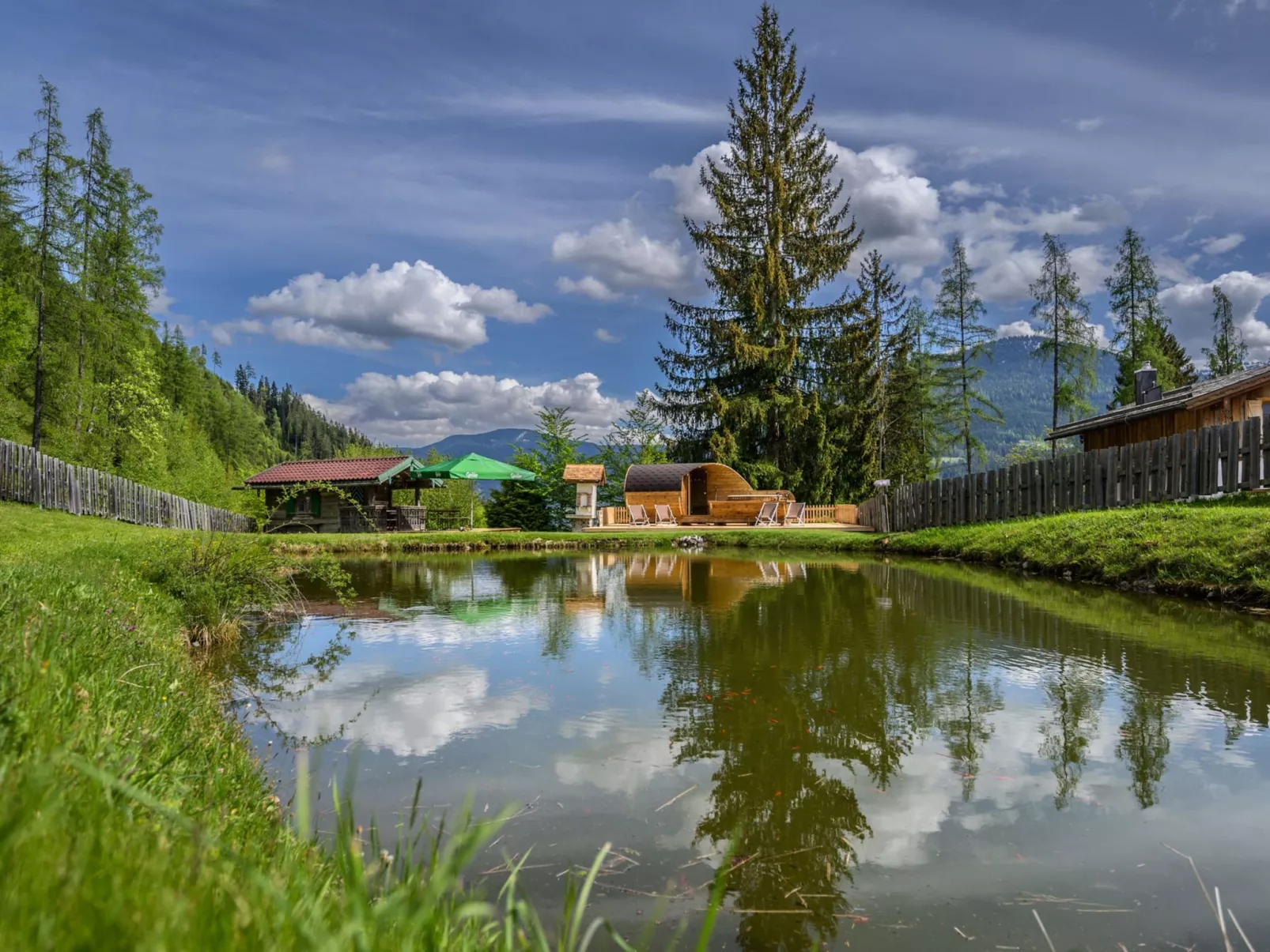 Waldkauz groß-Buiten