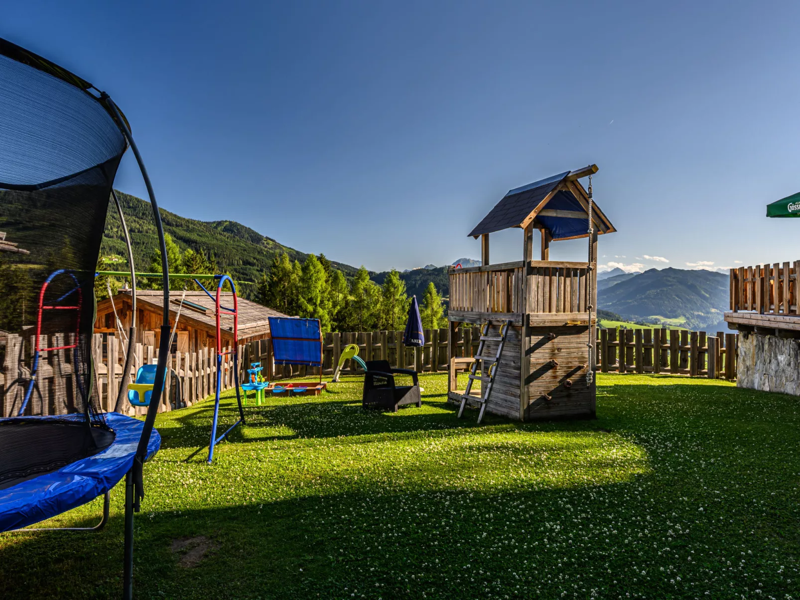 Waldkauz groß-Buiten