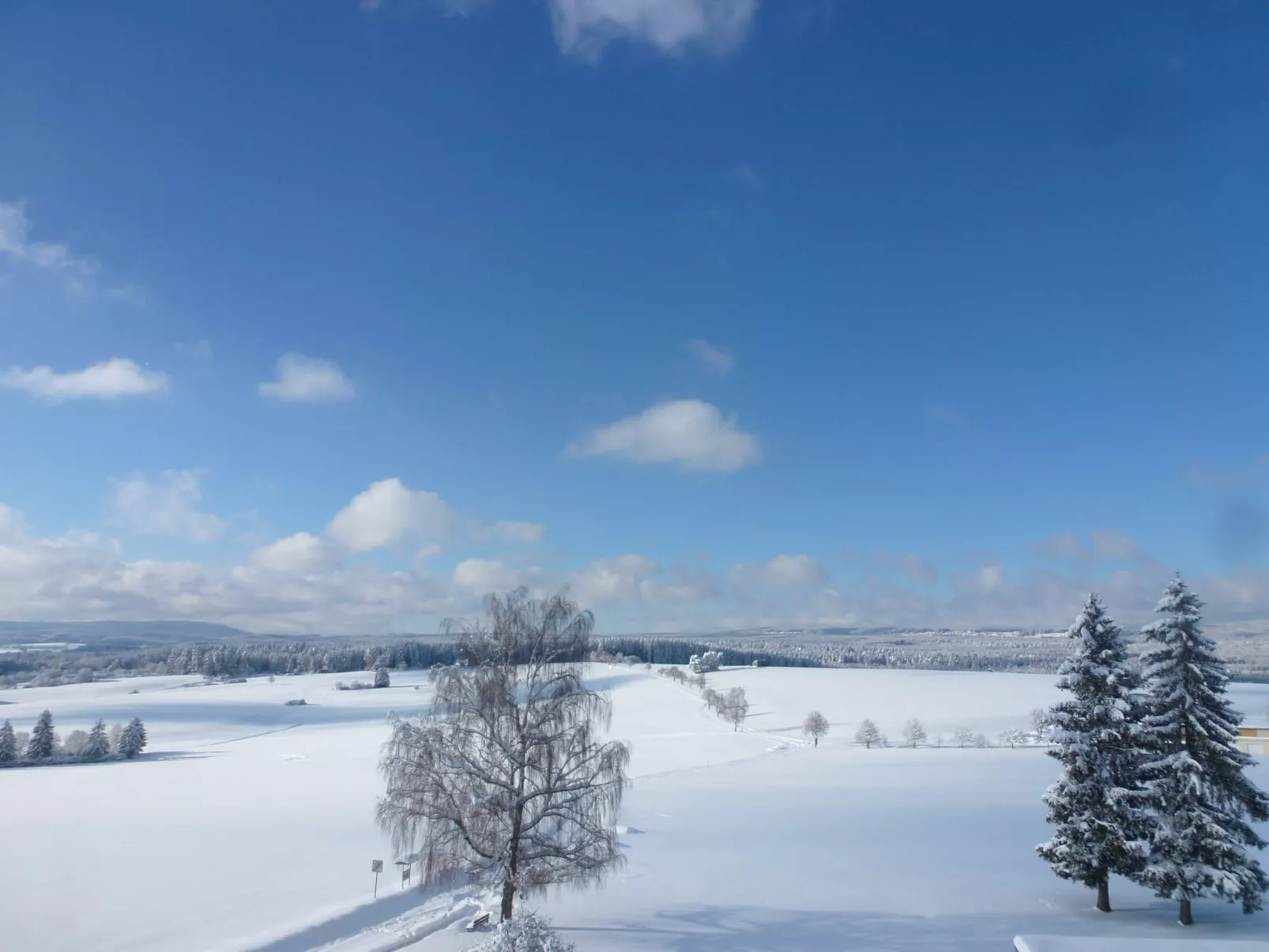 Lichtblick-Omgeving