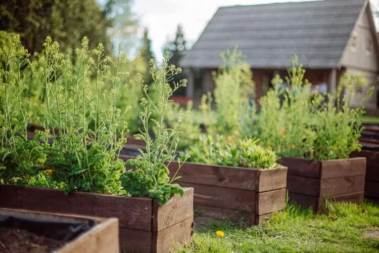 Dom przy drodze Skansen dla 6 osób Bełczna-Tuinen zomer