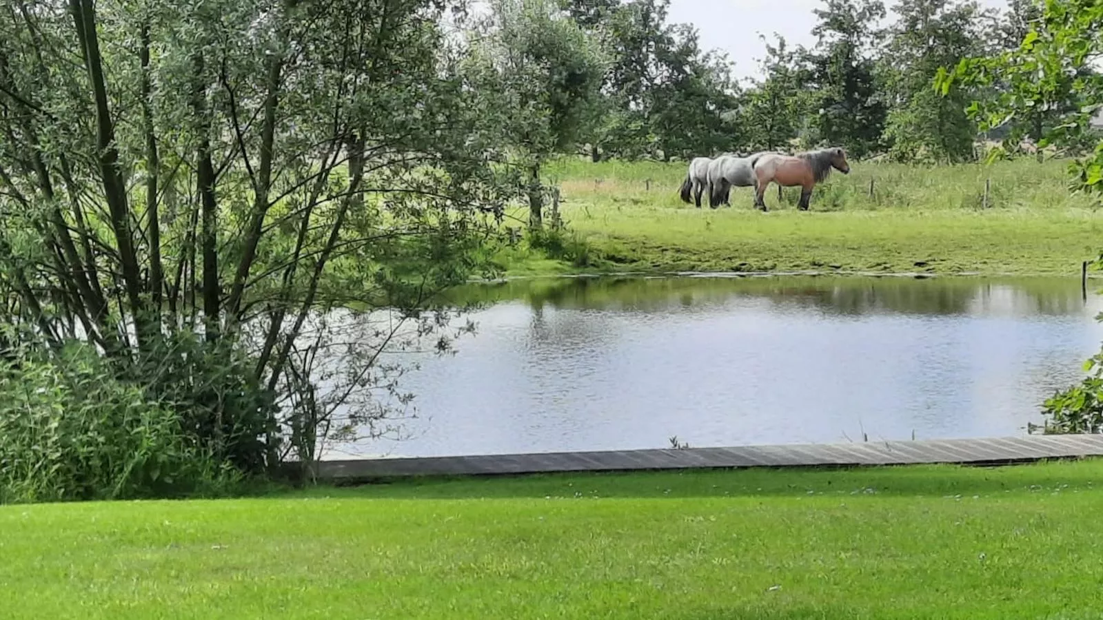 De Karkooi-Uitzicht zomer