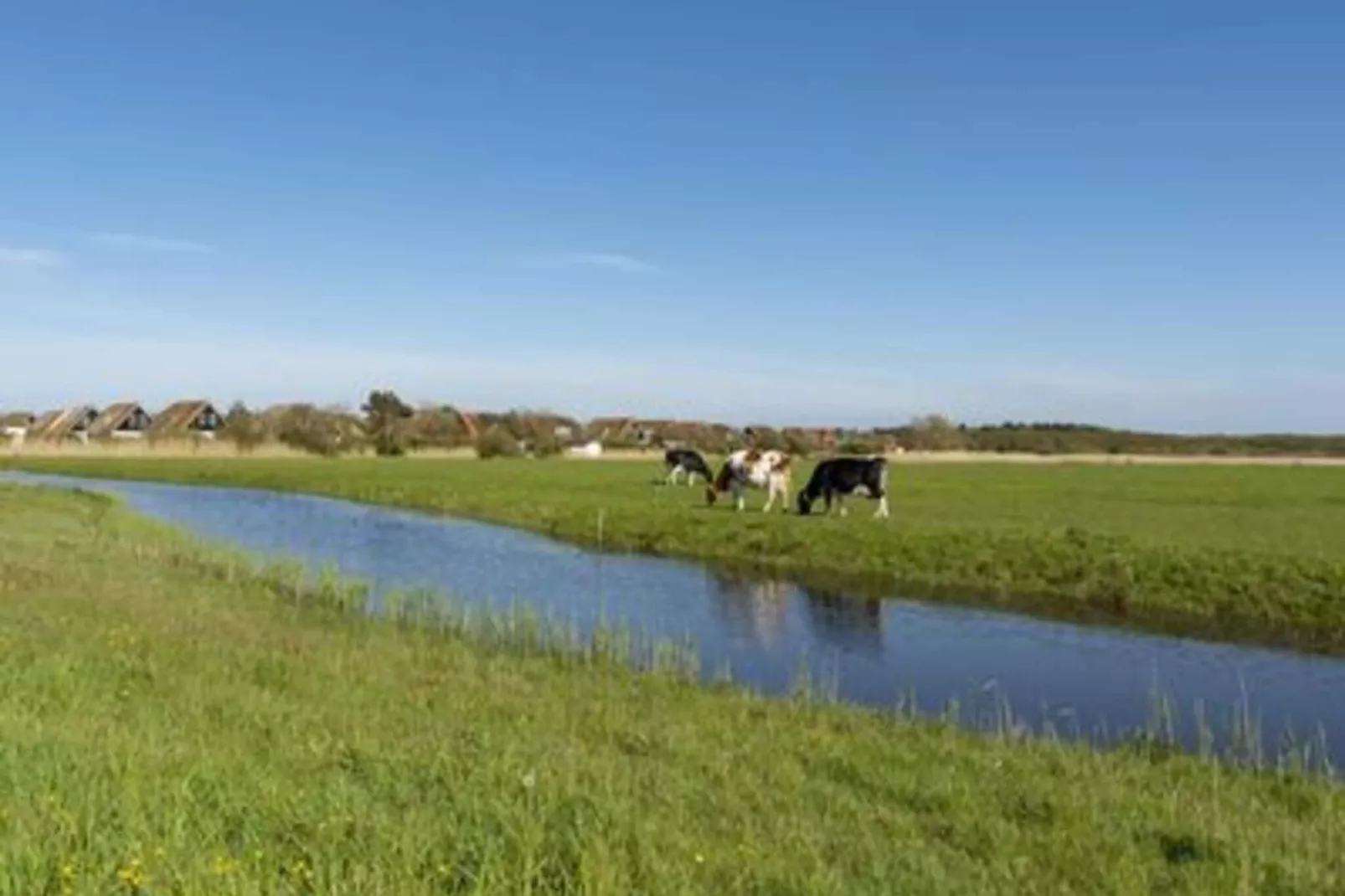 De Buitenplaats 42-Uitzicht zomer