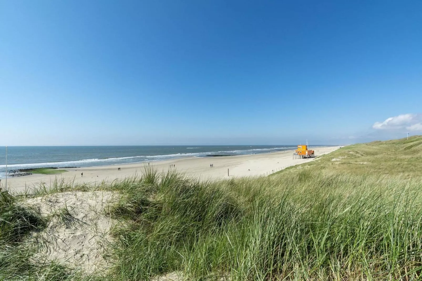 Wijde Blick 307-Tuinen zomer