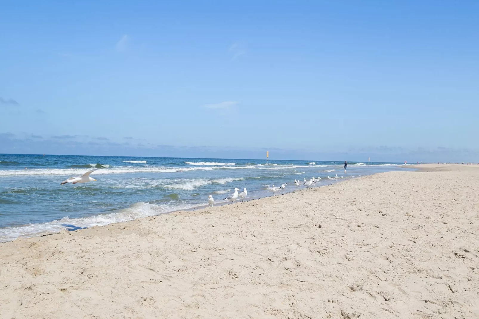 Juttershut Duynpark - Callantsoog-Gebieden zomer 5km